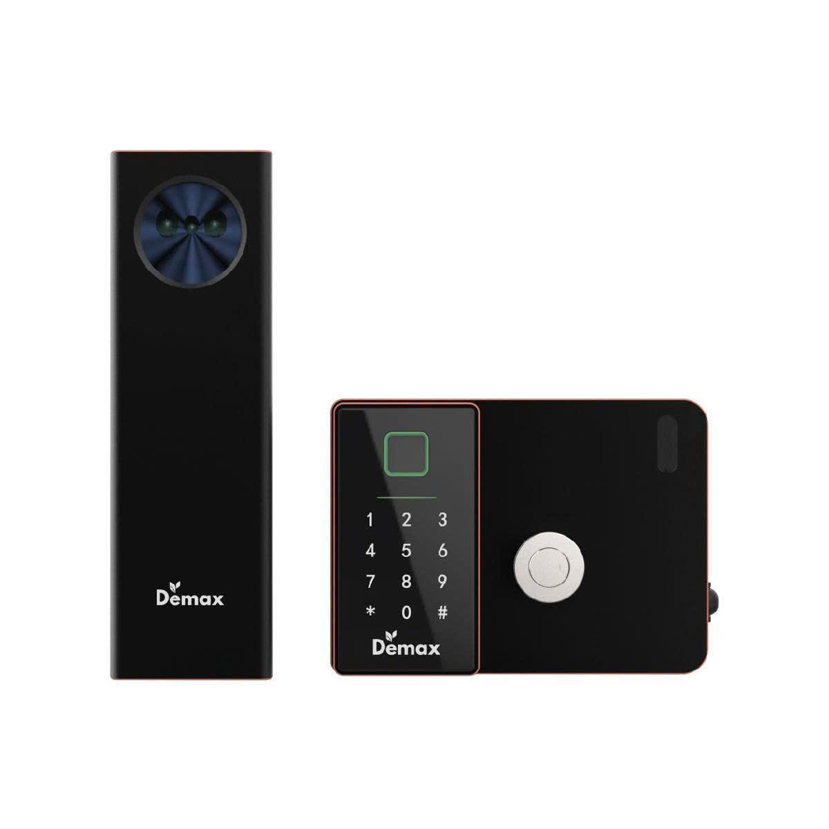 Khóa cổng Demax EL-C908 AC Face ID, App wifi, remote