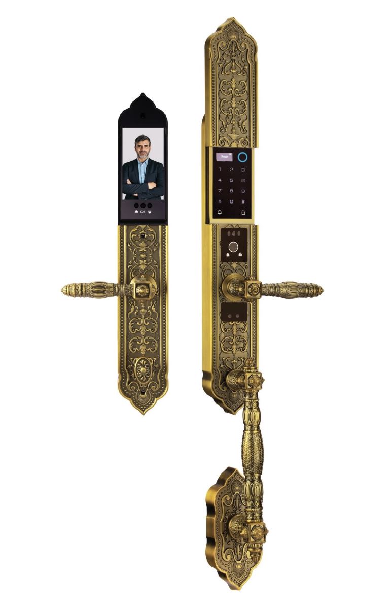 Khóa tân cổ điển Demax EL988 GB Brass Face ID, kết nối app