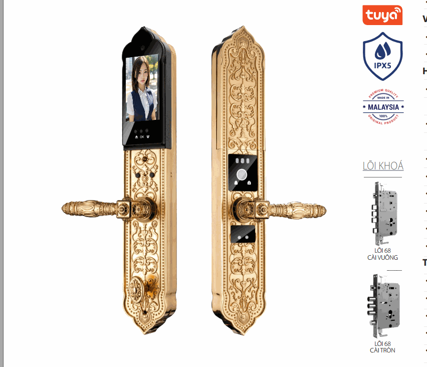 Khóa tân cổ điển Avolock AC-998F-G Face ID, App wifi