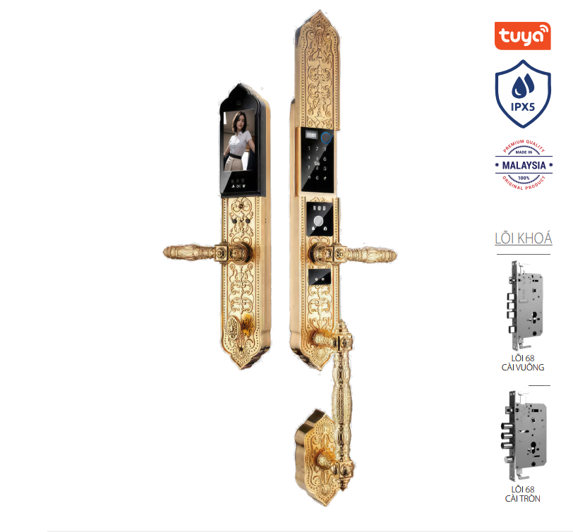 Khóa tân cổ điển Avolock AC-999F-G Face ID, kết nối app