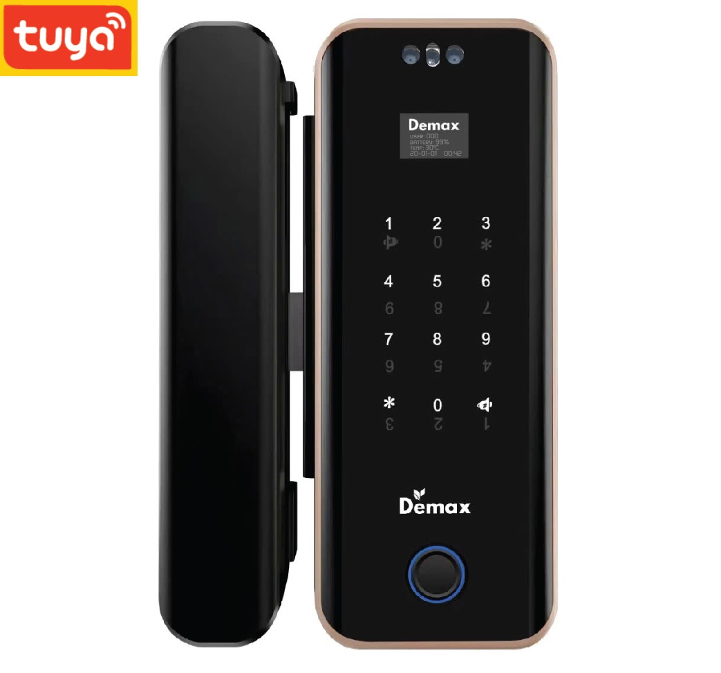 Khóa cửa kính Demax EL900G AC Remote Face ID, App wifi
